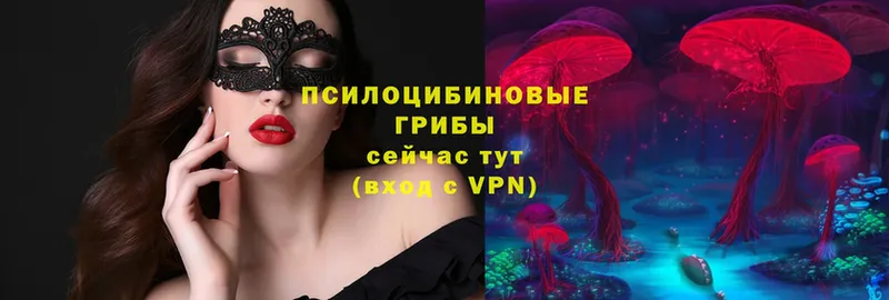 Галлюциногенные грибы Magic Shrooms  Нефтекамск 